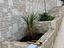 Immagine 18