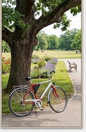 Bicicletta City bike da uomo 28”