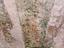Immagine 14