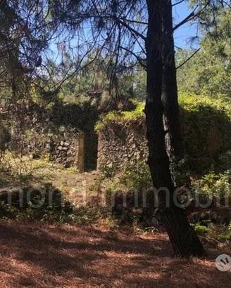 Terreno 20.000mq con fabbricato a Piedimonte Etneo