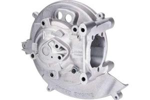 Carter motore Ciao Polini 1700210 con accensione e