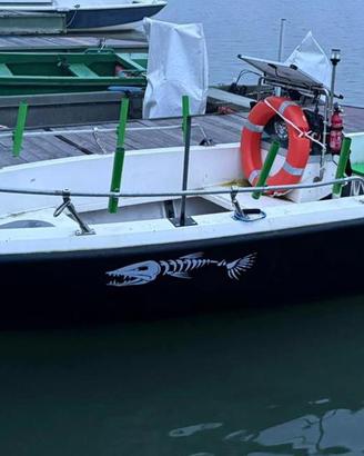 Barca pesca siluro