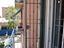 Immagine 10