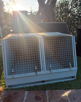 Gabbia per cani