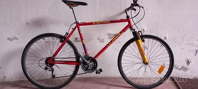 bici mountain bike bicicletta mtb 26 usata