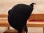 Immagine 5