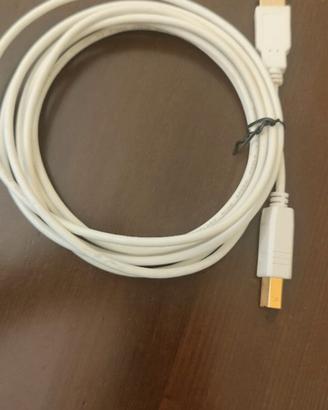 Cavo USB 2 DAC  3 mt.