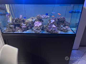 acquario marino completo