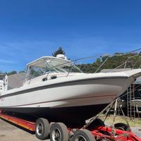 Boston Whaler Conquest 29.5 anche senza motori