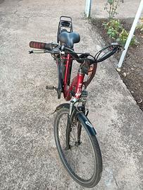 bici con pedalata assistita