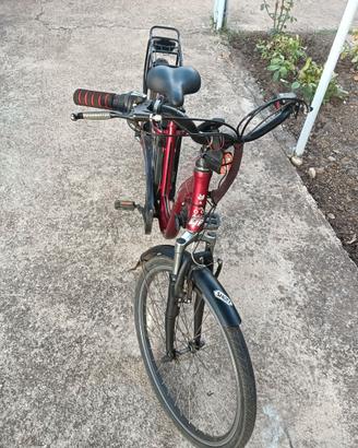 bici con pedalata assistita
