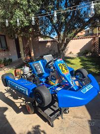Kart 100 top kart