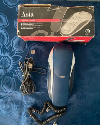 📞 Telefono Fisso Master Asia da Parete 🧲 Vintage