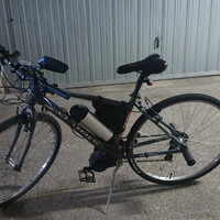 Bici elettrica sbloccata con acceleratore