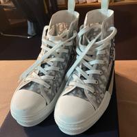 convers dior