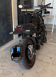 Benelli leoncino 500 2019