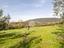 Immagine 26