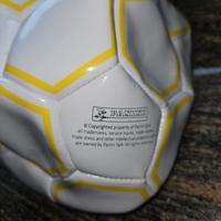 Pallone Panini 2024/2025