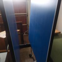 Tavolo da ping pong 
