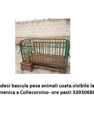 bascula pesa animali