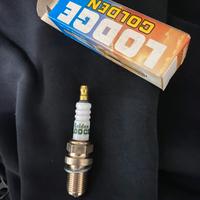 Lodge Golden candele 2HLDR