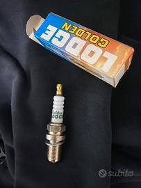 Lodge Golden candele 2HLDR