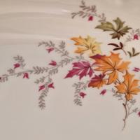 servizio piatti  porcellana cecoslovacca