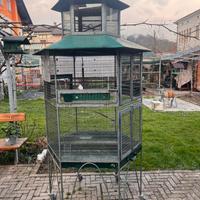 Grande Voliera zincata con ruote per canarini
