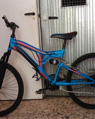 Bici taglia 24