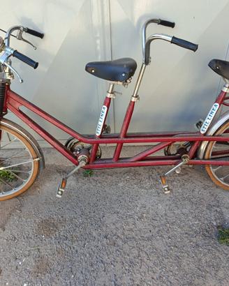 Bicicletta d’Epoca