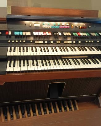 organo hammond