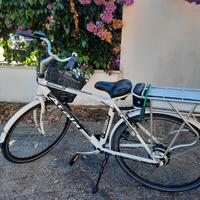 bicicletta elettrica 