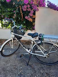 bicicletta elettrica 