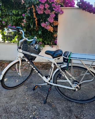 bicicletta elettrica 