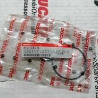 Rosetta 45,2 x 49 x 1 per Ducati 996 RS 85210841A