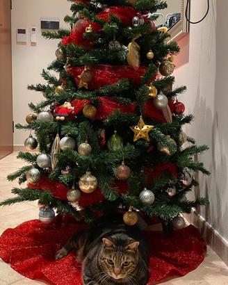 Albero di Natale
