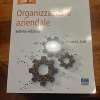 organizzazione aziendale 