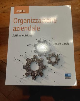 organizzazione aziendale 