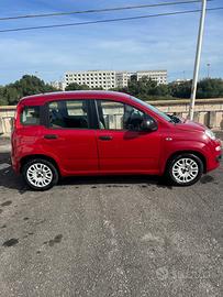 Fiat Panda 1200cc 2015