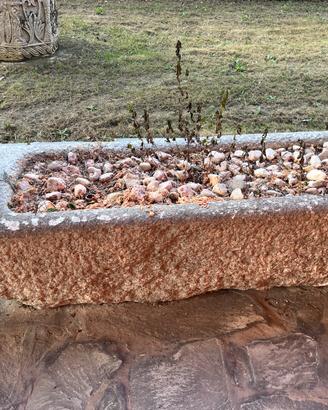 Vasca in pietra antica