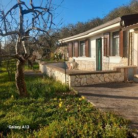 Casa di campagna con terreno annesso