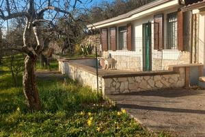 Casa di campagna con terreno annesso