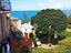 Immagine 12