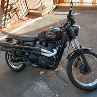 Triumph Scrambler 900 EFI - 2012