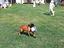 Immagine 4