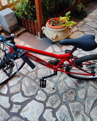 bici Mountain bike 24