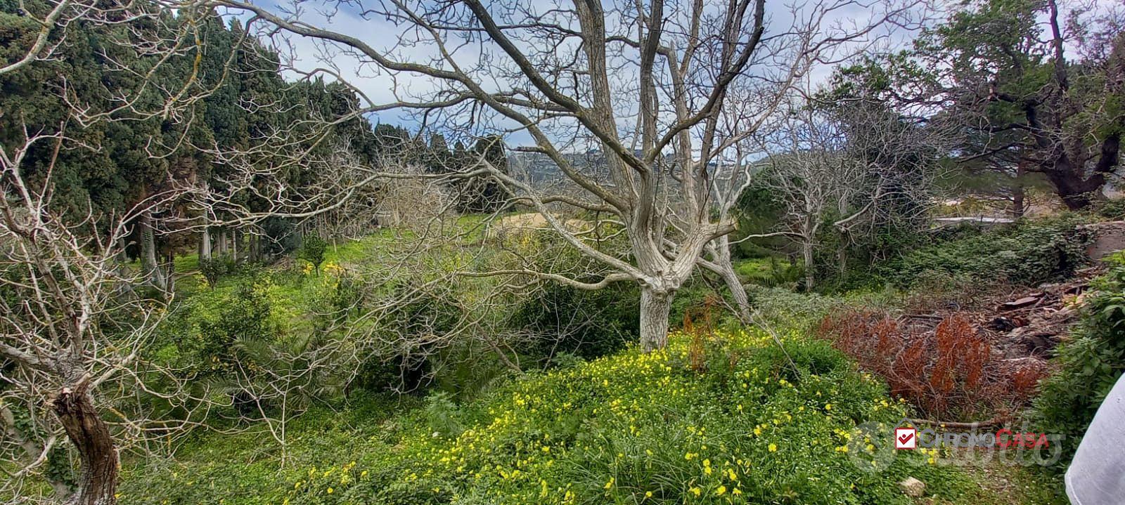 Locanda, terreno con ruderi e deposito - Vista 2