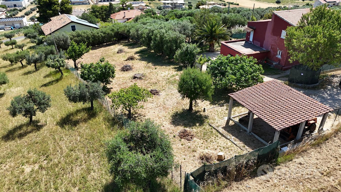 TERRENO A TORTORETO - Vista 2