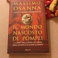 Libro il mondo nascosto di Pompei