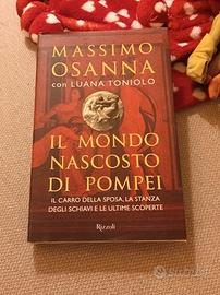 Libro il mondo nascosto di Pompei